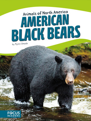 cover image of American Black Bears